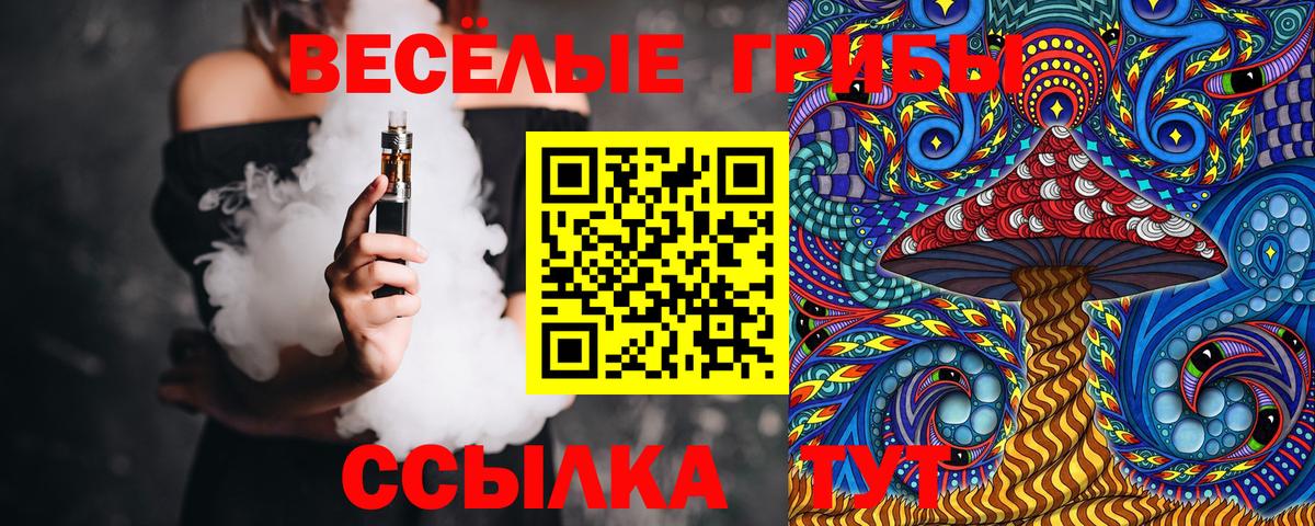 купить наркотики цена  Псилоцибиновые грибы MAGIC MUSHROOMS  Вход с VPN  Галлюциногенные грибы Psilocybe  Аргун 