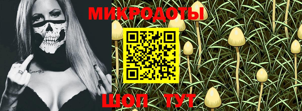 Галлюциногенные грибы Cubensis Аргун